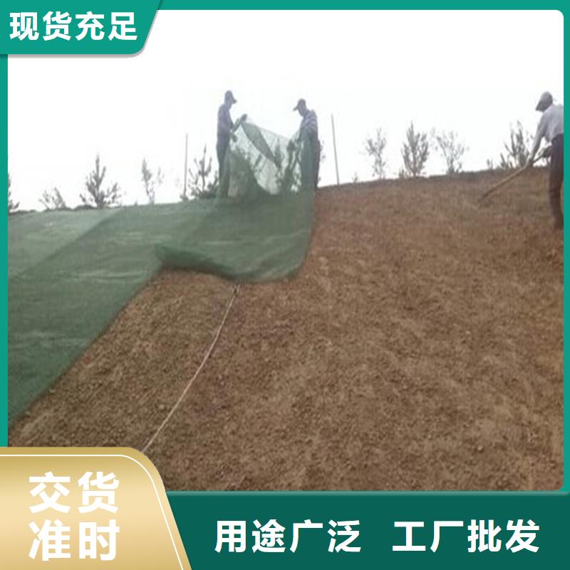 土工布三维植被网型号齐全