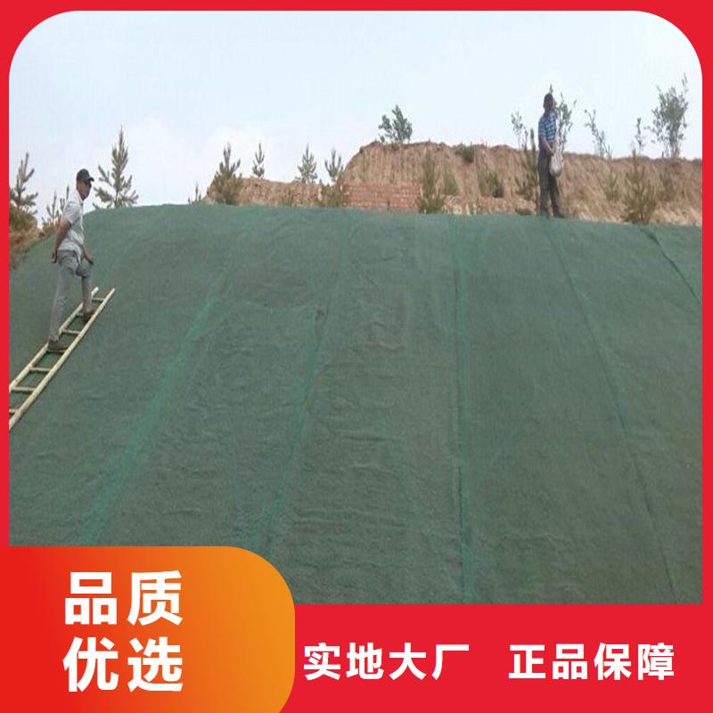 河道土工布价格