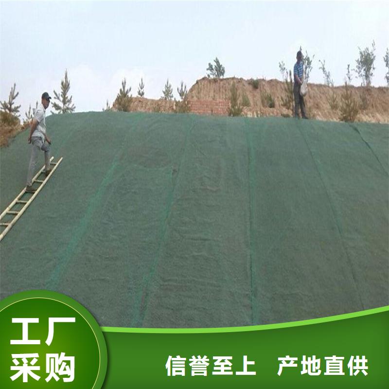 土工布品質(zhì)無所畏懼