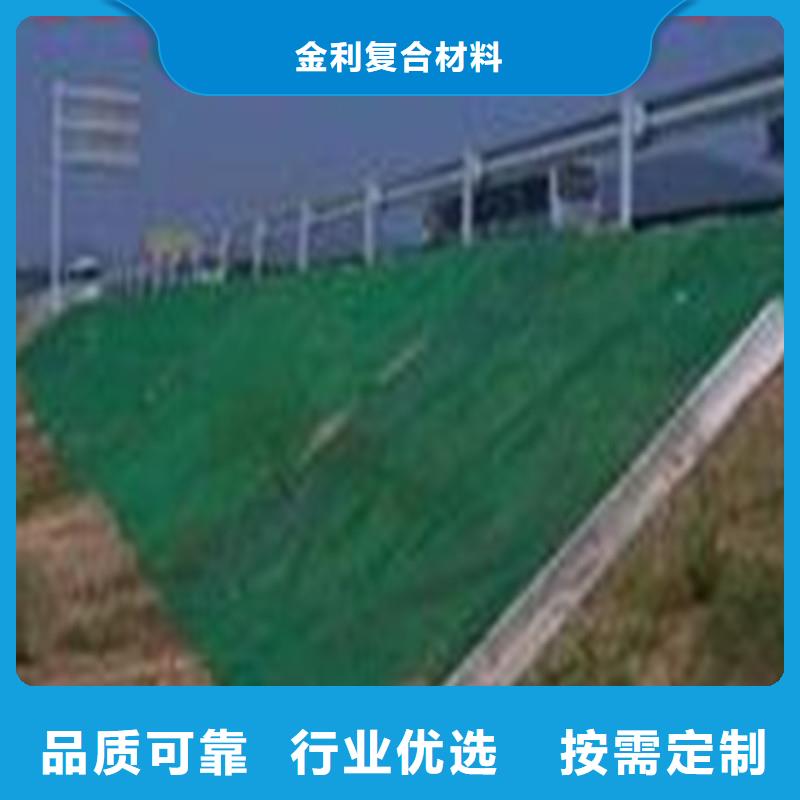 土工布80KN玻纖格柵工廠采購