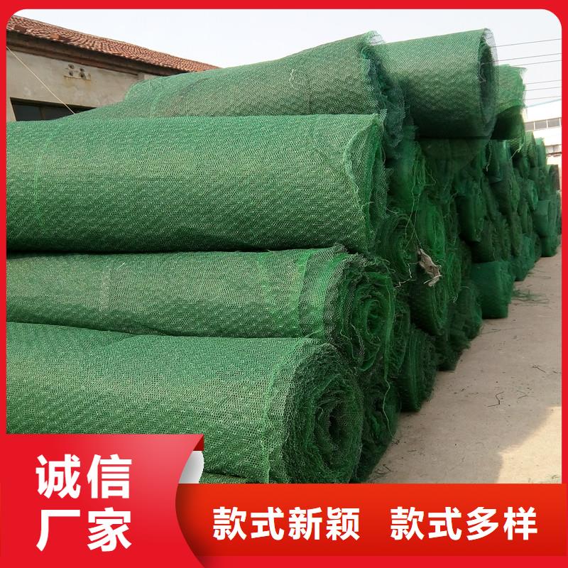 土工布三維植被網(wǎng)發(fā)貨迅速