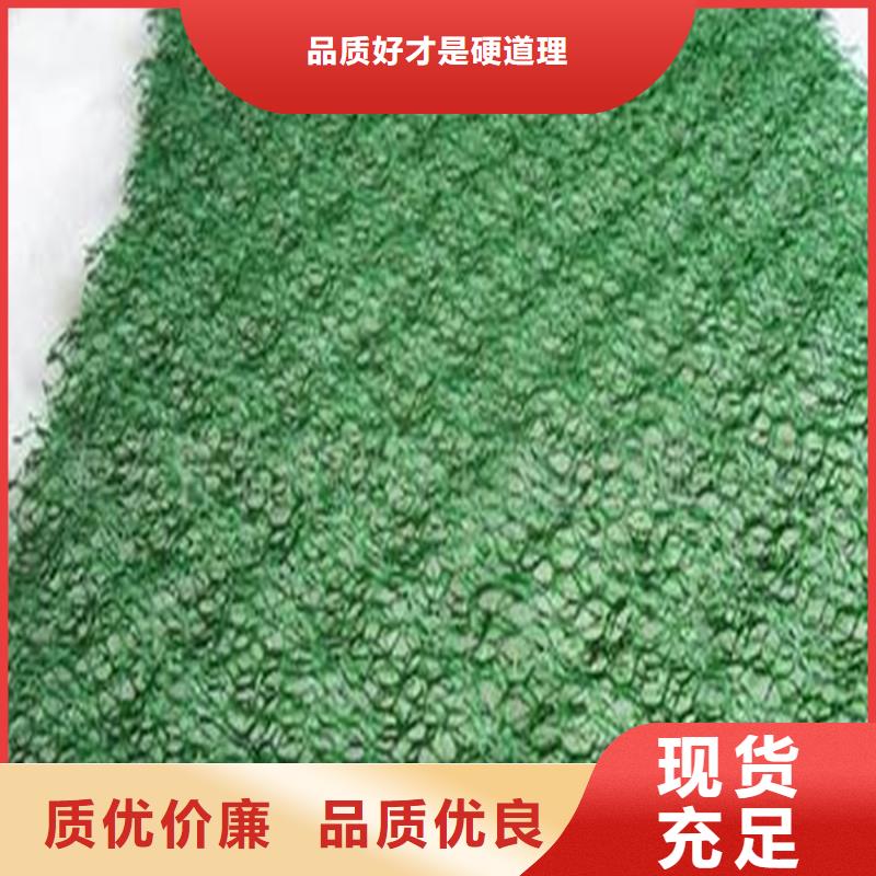 土工布土工格柵經(jīng)久耐用