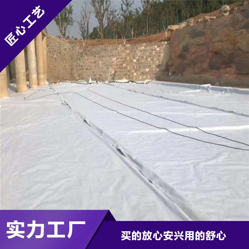 土工布HDPE复合排水板现货销售