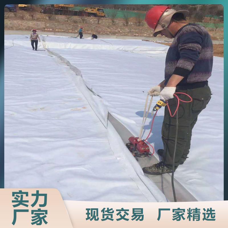 土工布雙向土工格柵工廠直銷