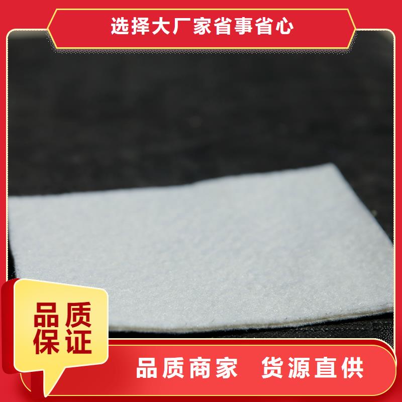 【土工布復(fù)合土工膜廠家型號(hào)齊全】