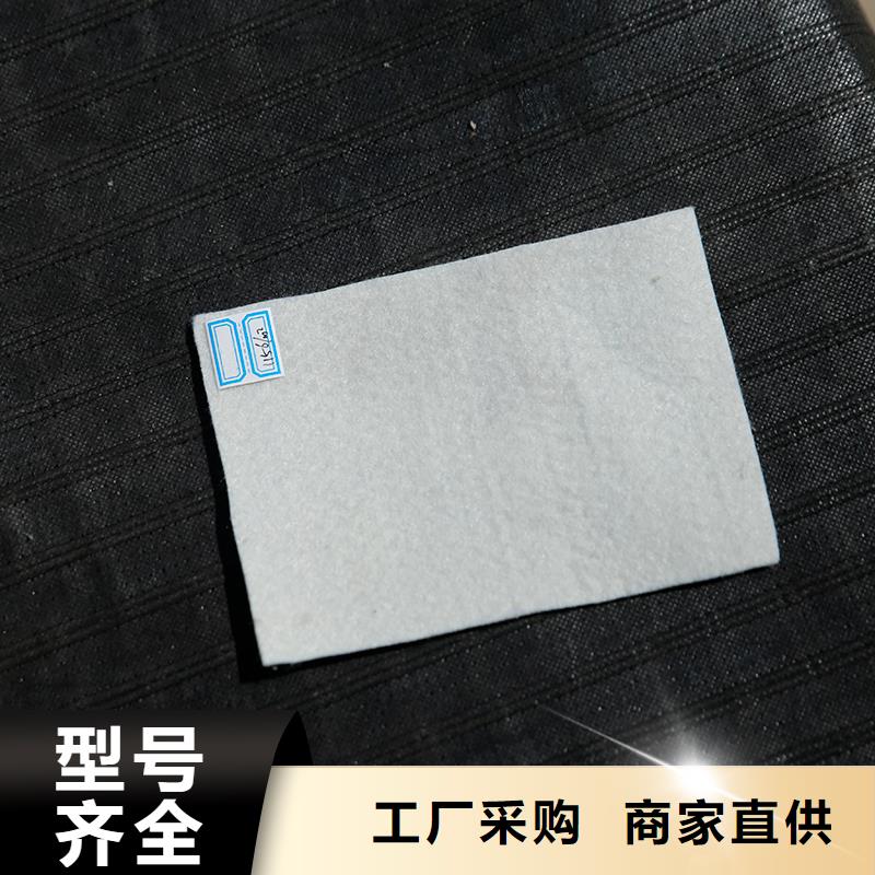 土工布土工格柵信譽至上