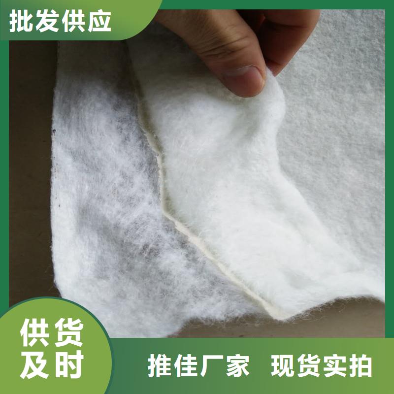 土工布聚丙烯長絲土工布支持定制加工