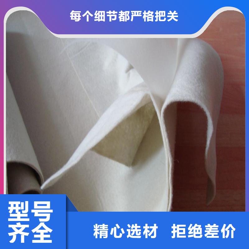 土工布,【鋼塑土工格柵】大品牌值得信賴