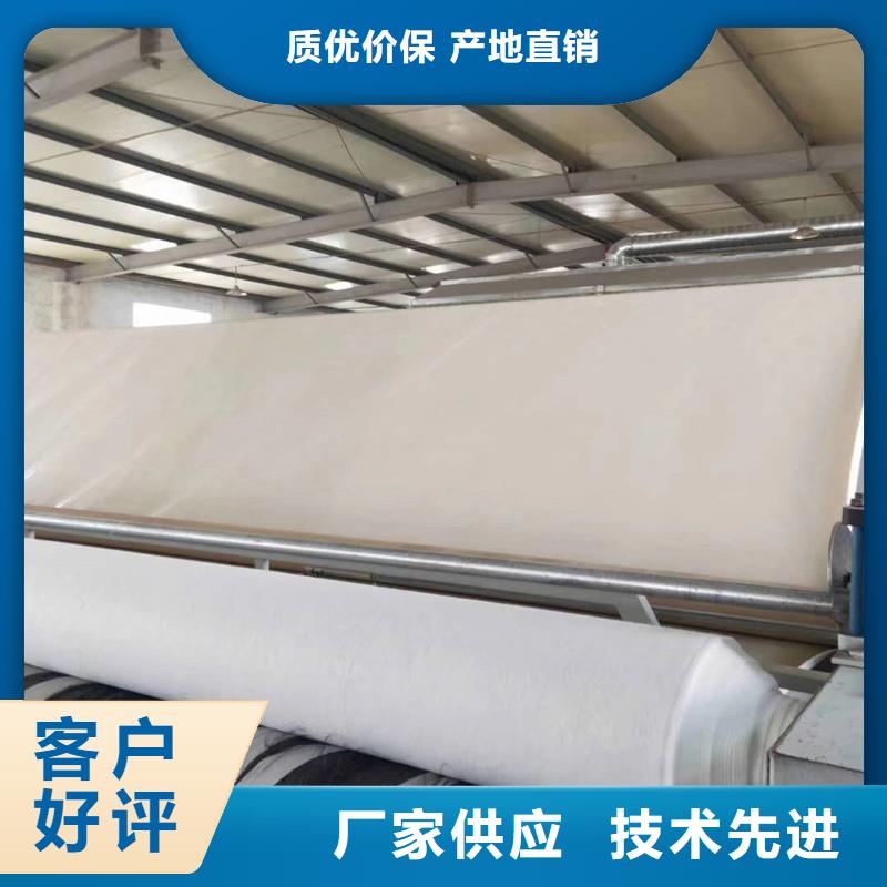 土工布玻纤格栅货源足质量好