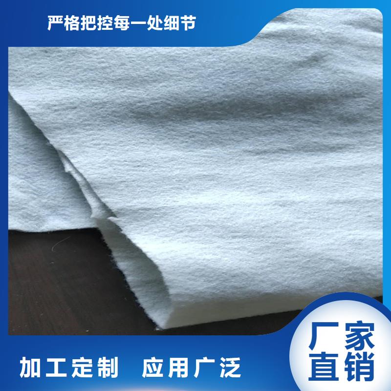防渗土工膜供应商
