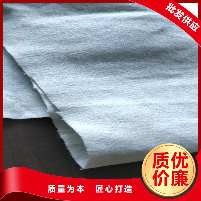 土工布礦用格柵工期短發(fā)貨快