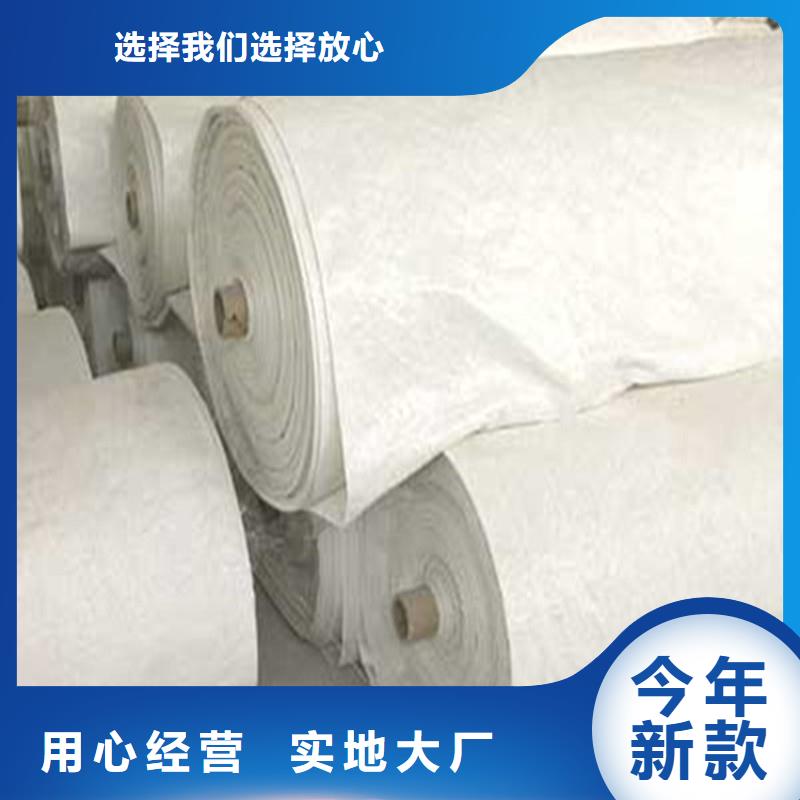 防渗土工膜供应商