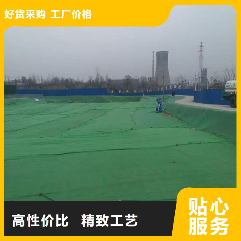 土工布三維植被網(wǎng)發(fā)貨迅速