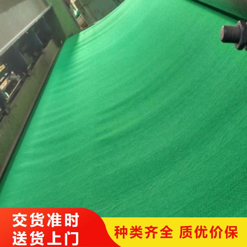 土工布三維植被網(wǎng)發(fā)貨迅速