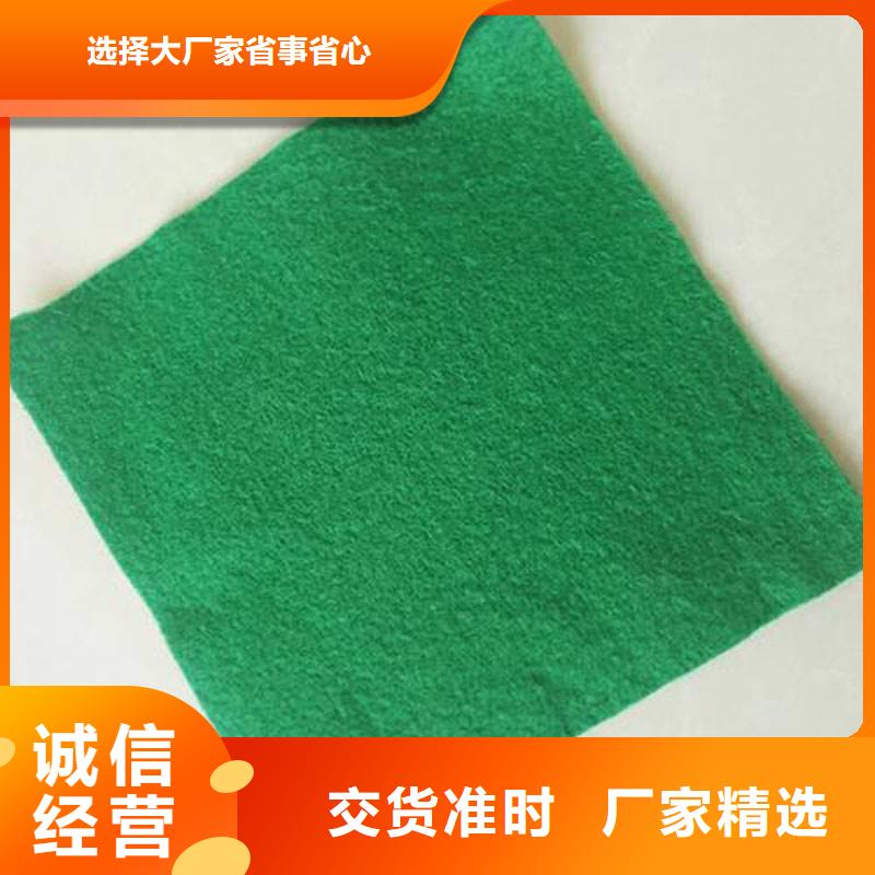 土工布三維植被網(wǎng)發(fā)貨迅速