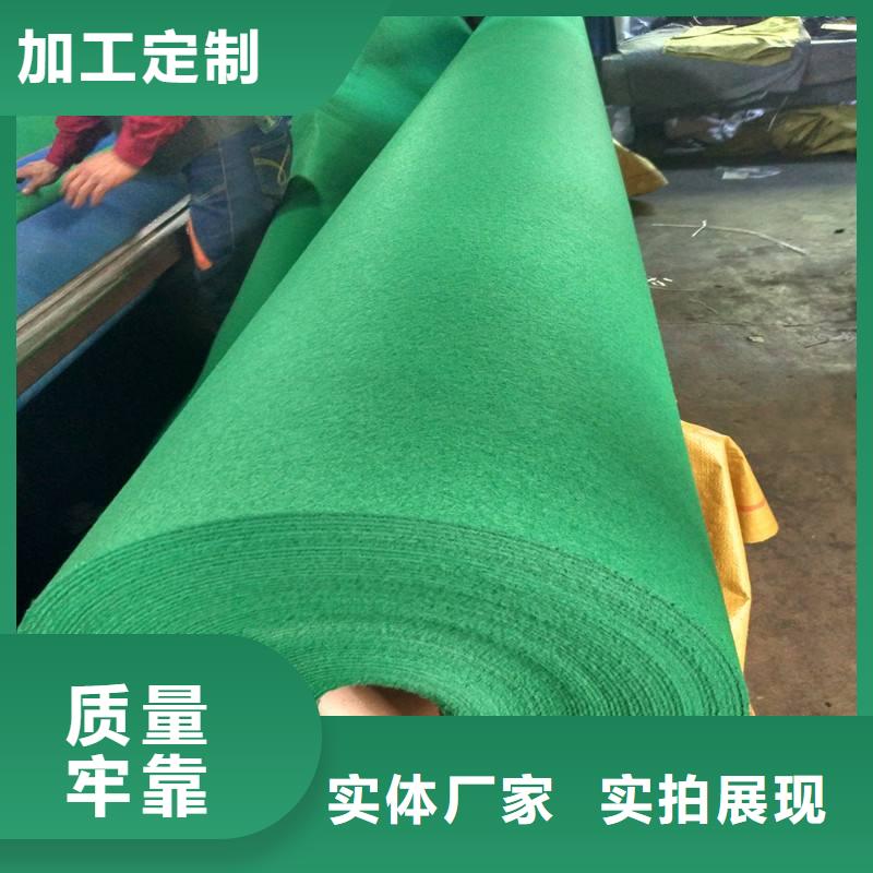 土工布三維植被網(wǎng)發(fā)貨迅速