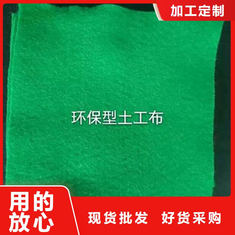 土工布三維植被網(wǎng)發(fā)貨迅速