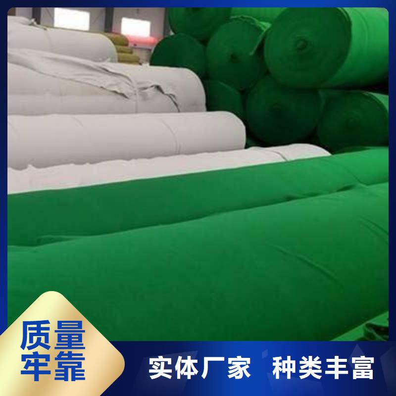 土工布三維植被網(wǎng)發(fā)貨迅速