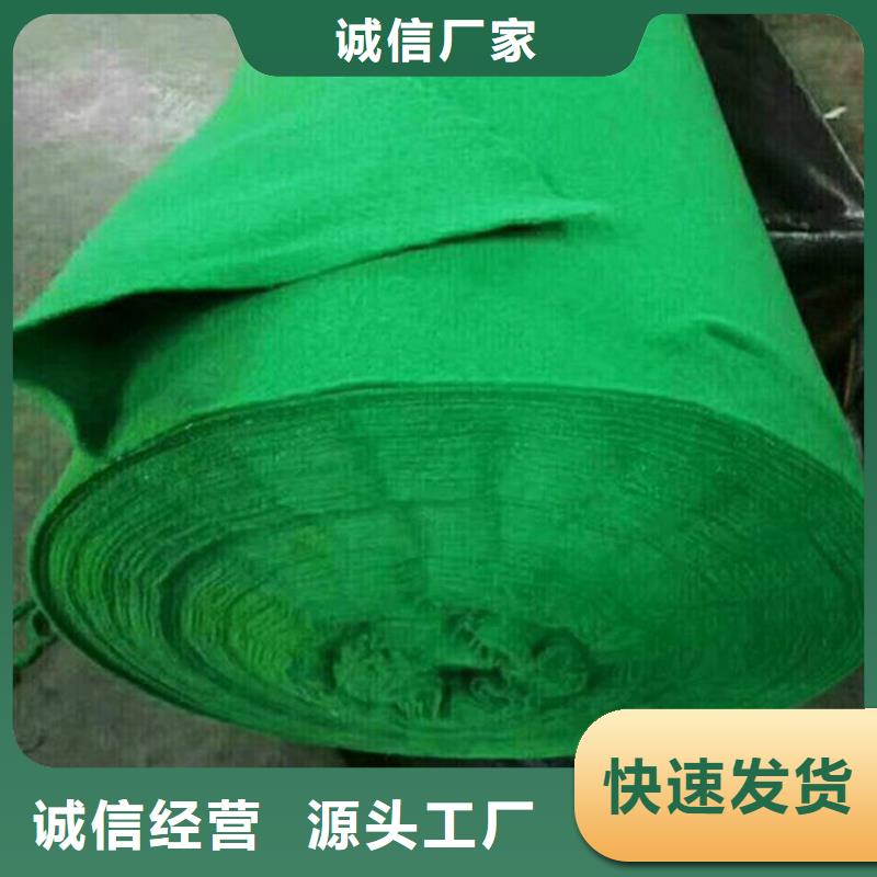 土工布三维植被网型号齐全
