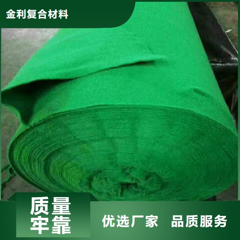 土工布三維植被網(wǎng)發(fā)貨迅速