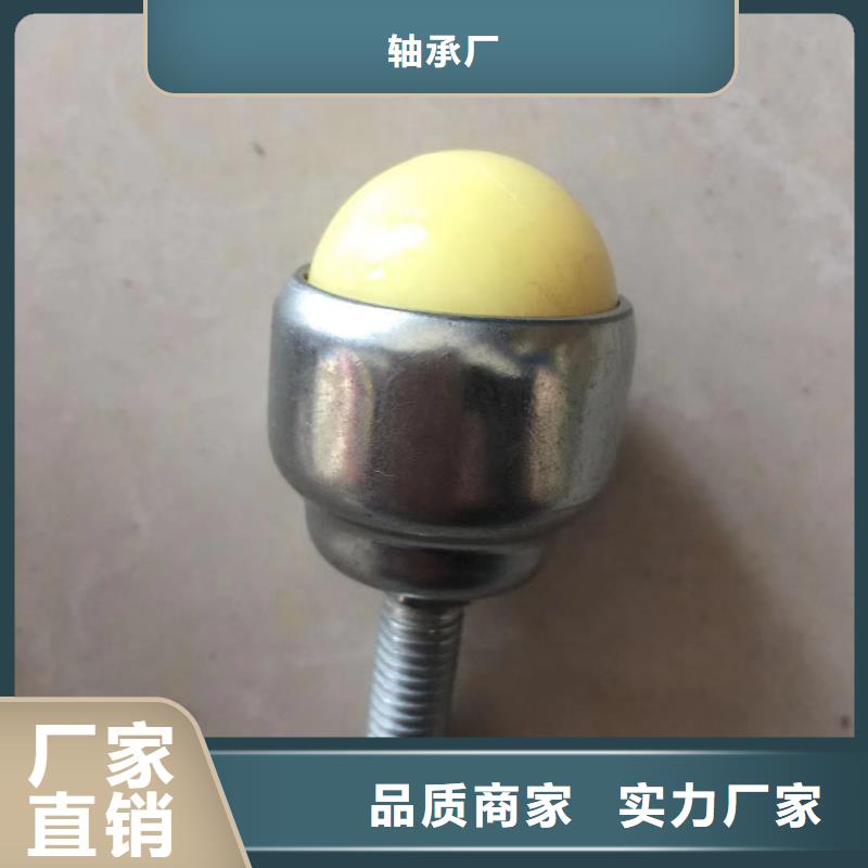 BS2-2216-2CS/VT143密封调心滚子轴承视频-BS2-2216-2CS/VT143密封调心滚子轴承|山南市|隆子|扎囊|阿里|昌都|拉萨|林芝|日喀则|那曲