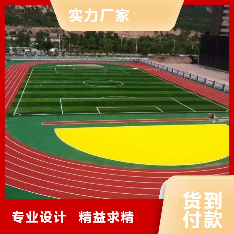 環(huán)保型塑膠跑道公路圍網(wǎng)品質(zhì)保障價(jià)格合理