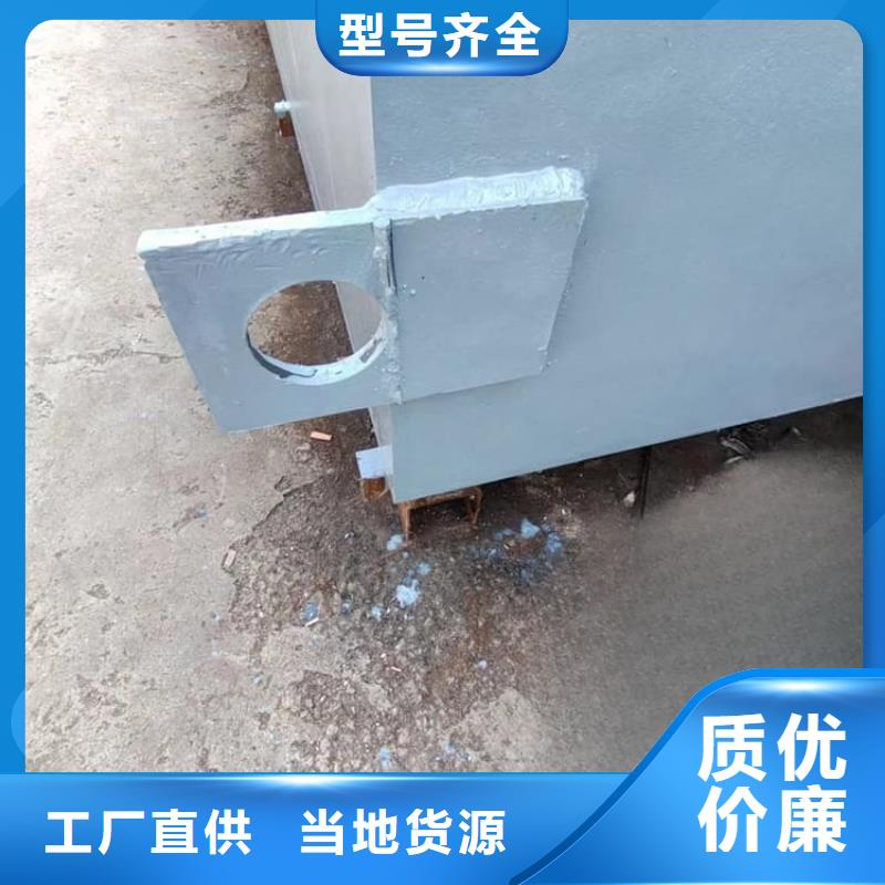 电动铅门-实体厂家质量放心