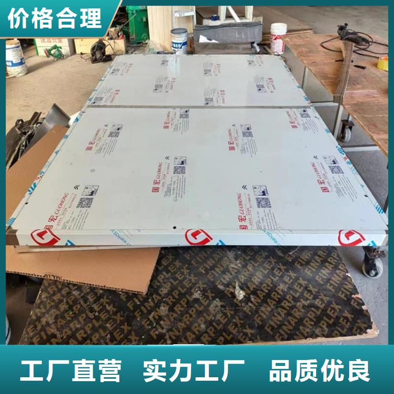 电动铅门-实体厂家质量放心