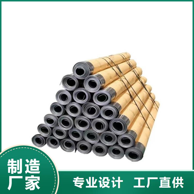 牙科CT口腔x光鉛板-原廠質保