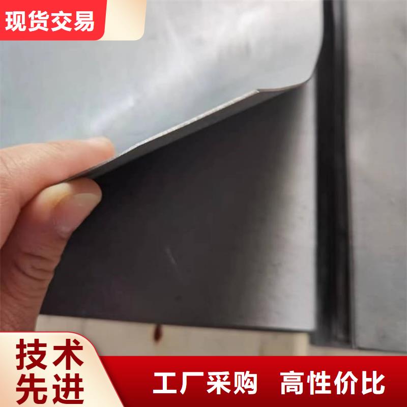 牙科CT口腔x光铅板-原厂质保