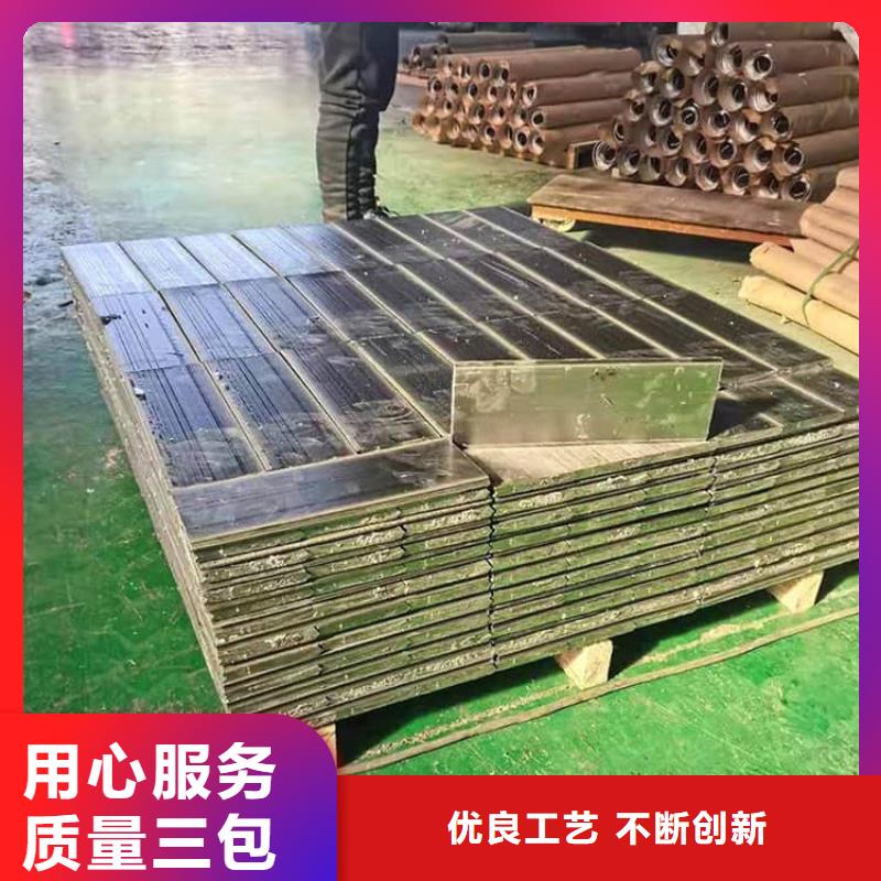屏蔽核輻射用鉛塊-本地廠家
