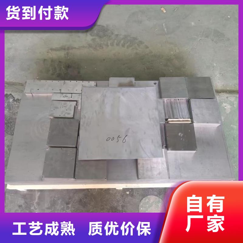 防護(hù)鉛塊、防護(hù)鉛塊生產(chǎn)廠家-找宏興射線防護(hù)工程有限公司