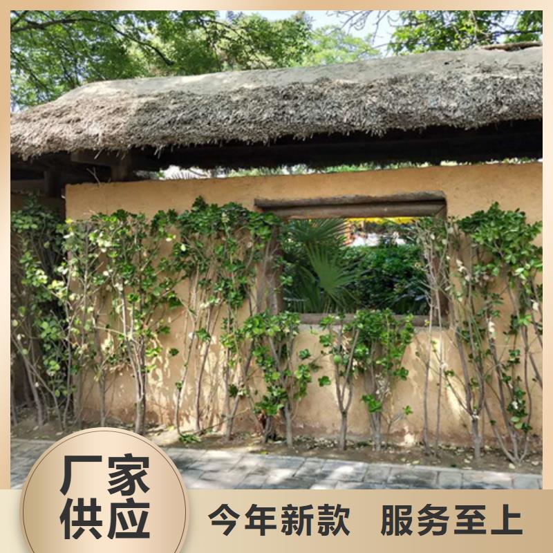 仿夯土漆施工#内外墙稻草漆#民宿改造#乡村建设