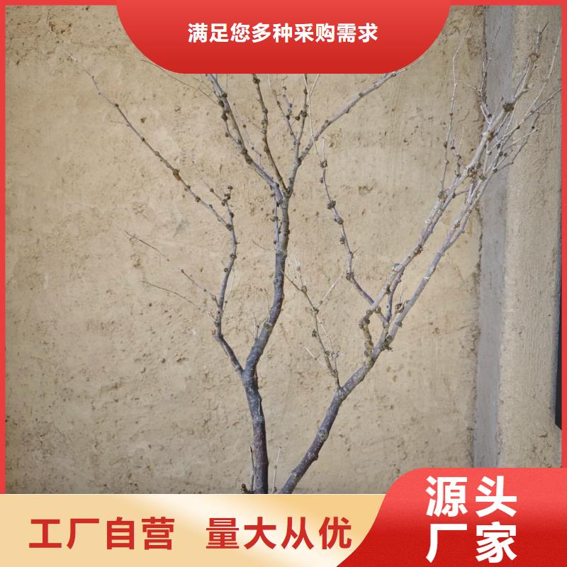 仿夯土外墻漆施工#內(nèi)外墻稻草漆#民宿改造#鄉(xiāng)村建設(shè)