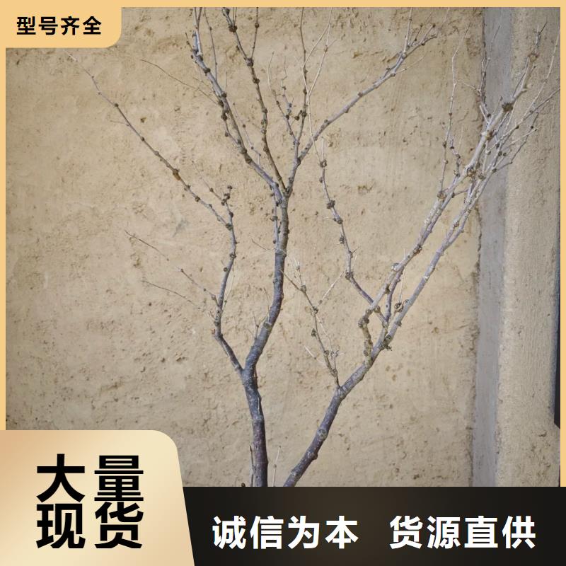 仿夯土漆價(jià)格#生態(tài)稻草漆#老房翻新#農(nóng)家小院