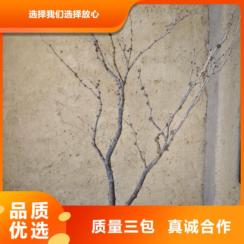 夯土藝術漆施工#仿泥巴稻草漆#民宿改造#美麗鄉(xiāng)村