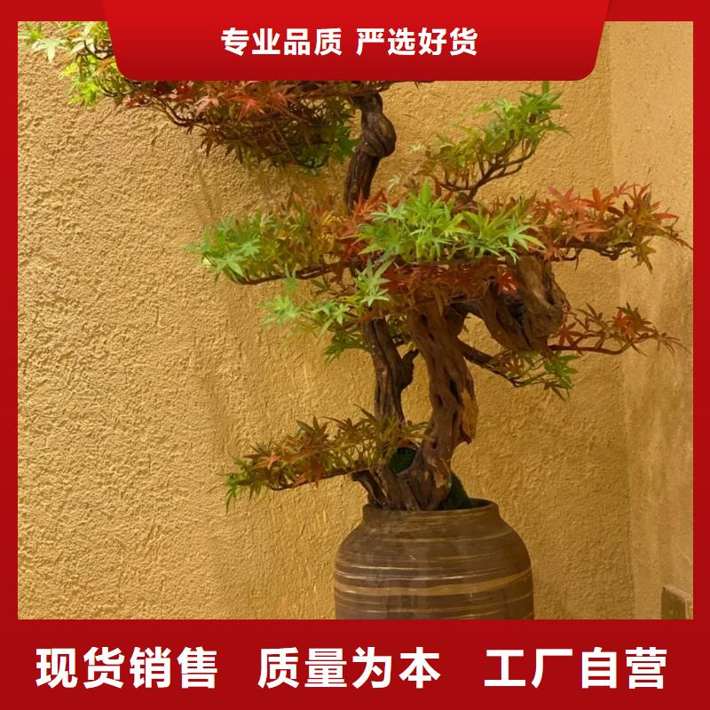 仿夯土稻草漆多少錢#內(nèi)外墻稻草漆#民宿改造#鄉(xiāng)村建設(shè)
