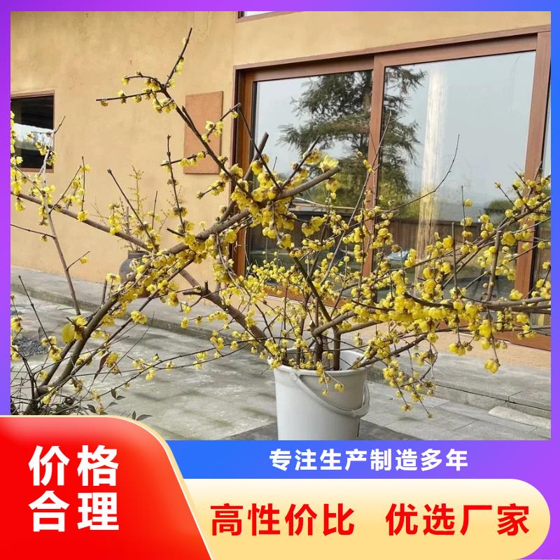 仿五花斷層夯土漆價格#仿夯土稻草漆#藝術涂料廠家#農家小院改造