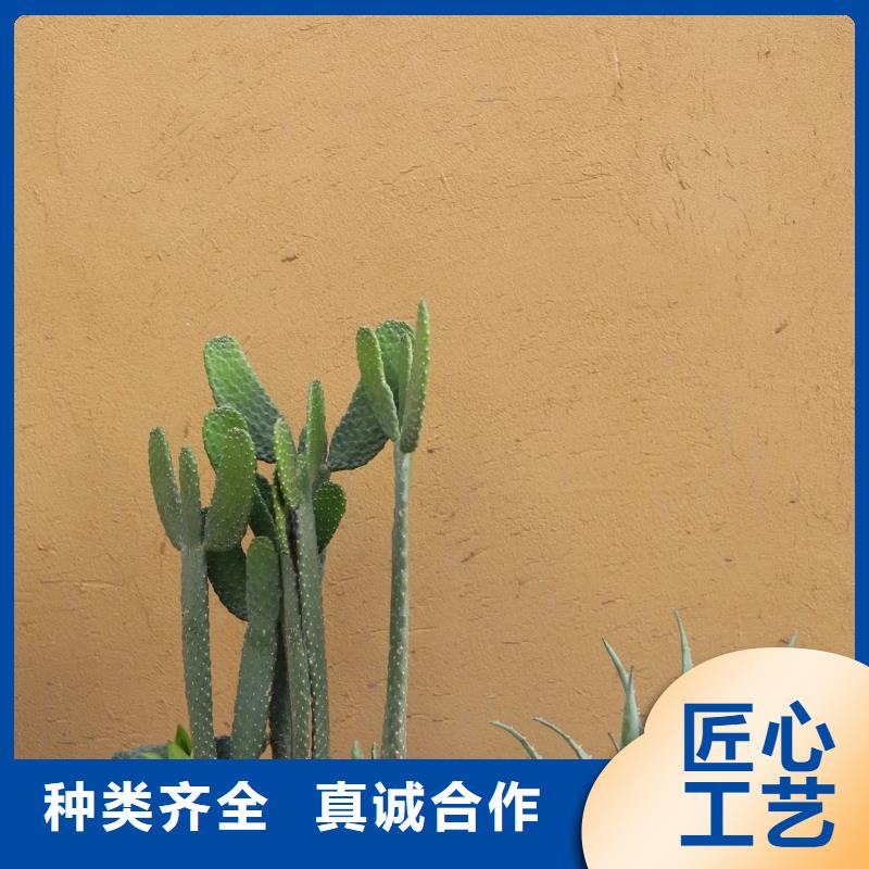夯土藝術(shù)漆多少錢#夯土墻面漆#仿泥巴墻涂料#稻草漆廠家