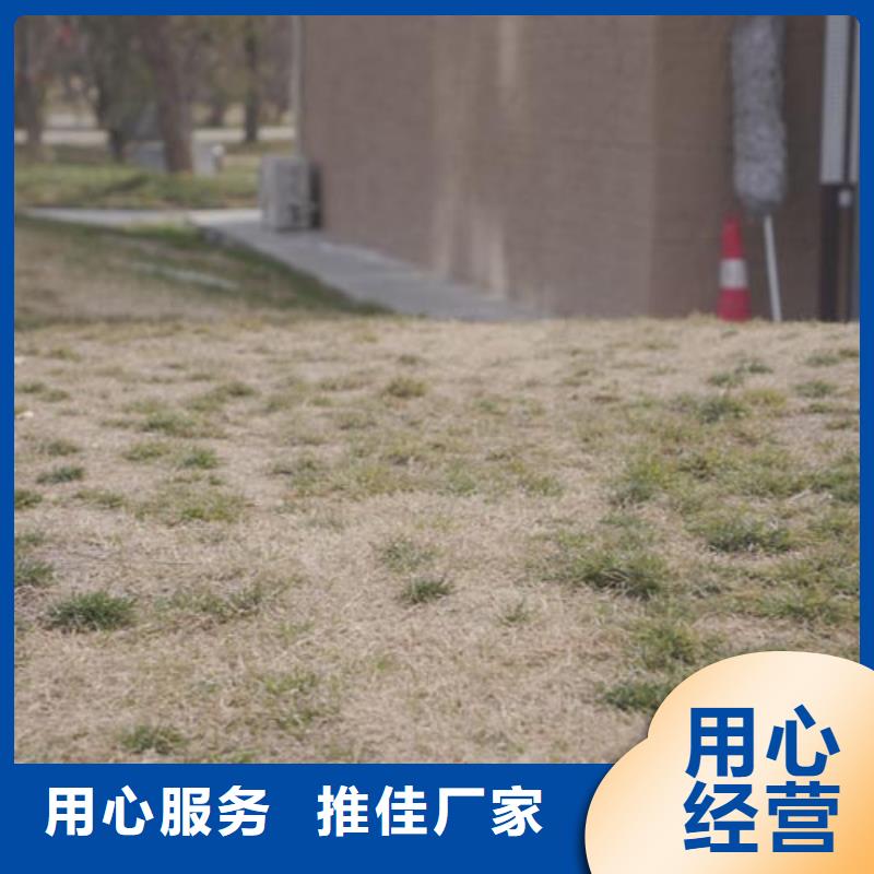 夯土墻面漆批發(fā)價(jià)格買的放心