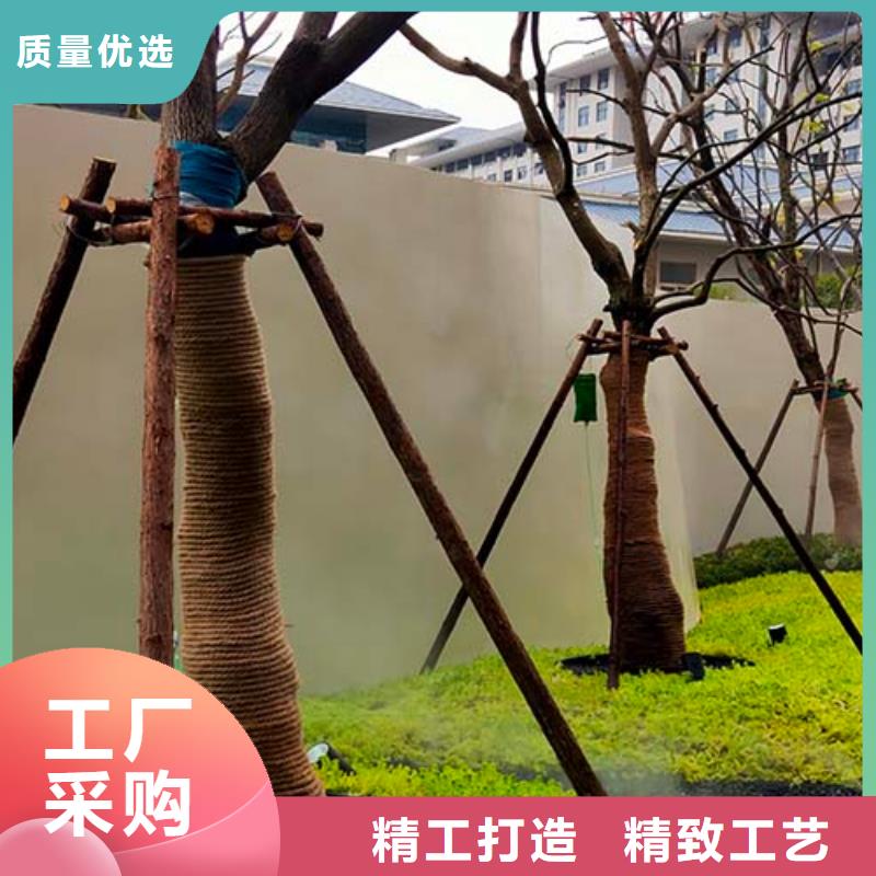 萬寧市墻面微水泥價格