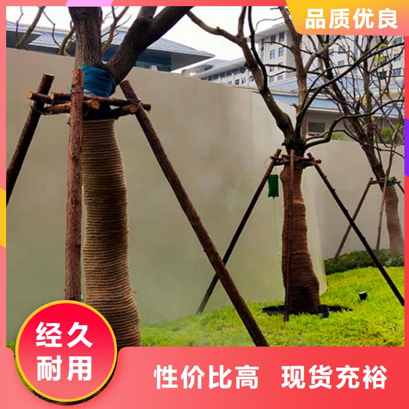 水泥漆【外墻夯土漆】優(yōu)選貨源