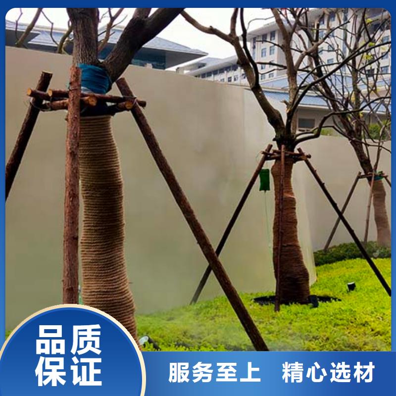【水泥漆】,鏡面馬來漆產(chǎn)品實拍