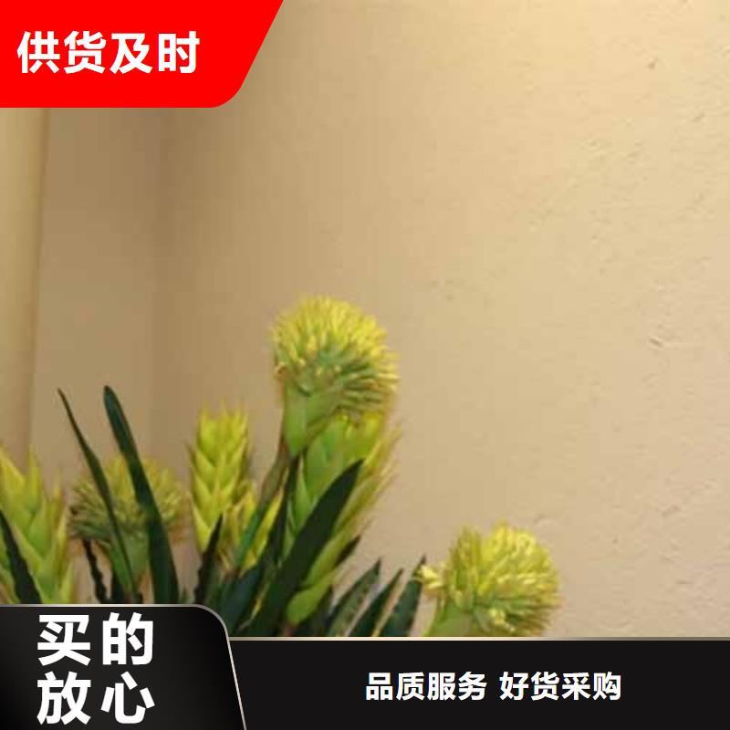 雅晶石-夯土藝術(shù)涂料設(shè)備齊全支持定制