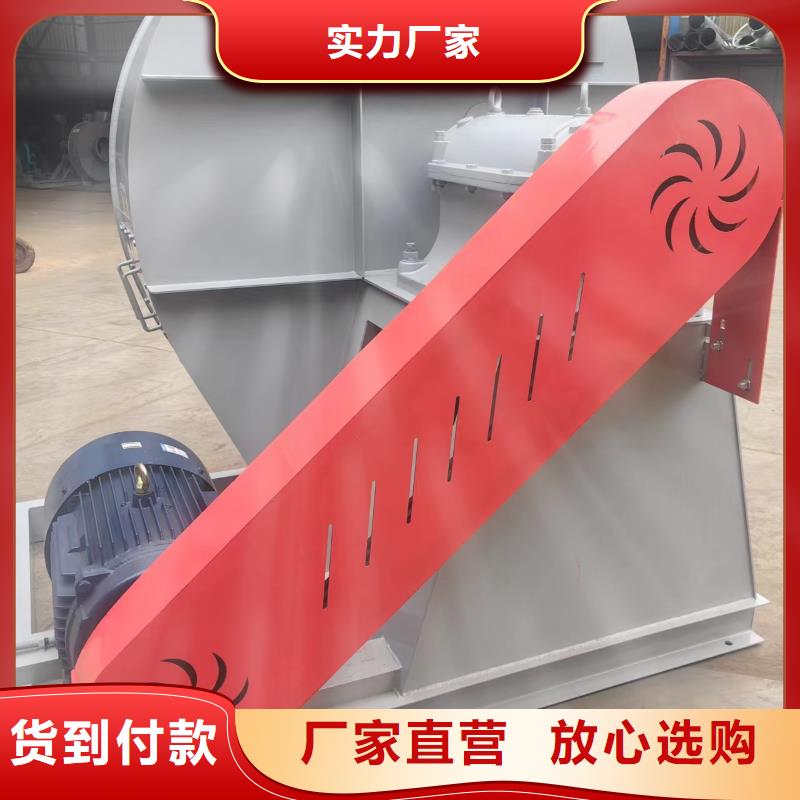 造紙專用風機可靠的商家