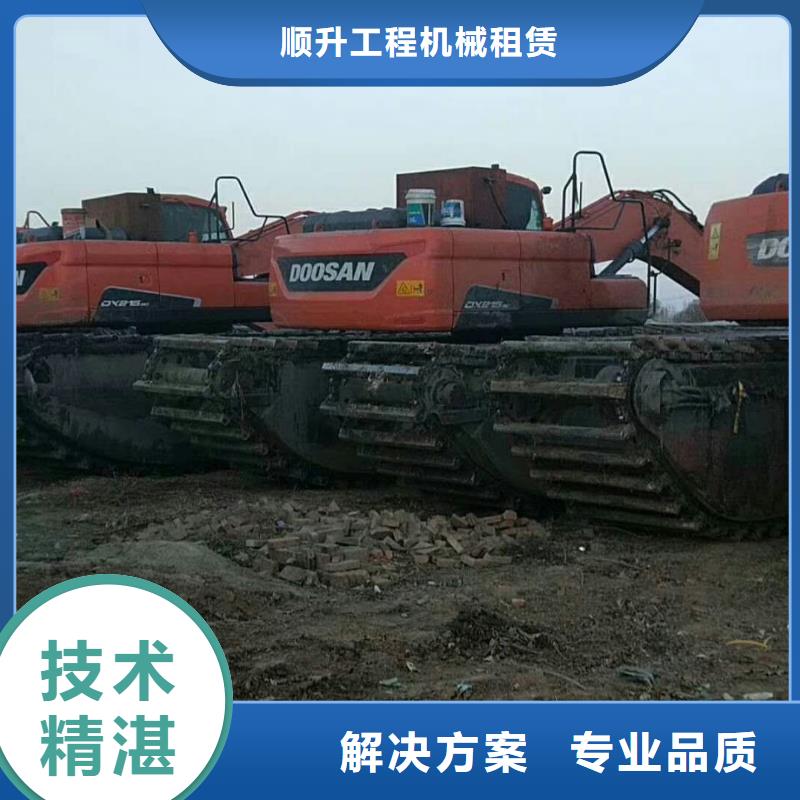 
水陸挖掘機(jī)租賃廠家加工