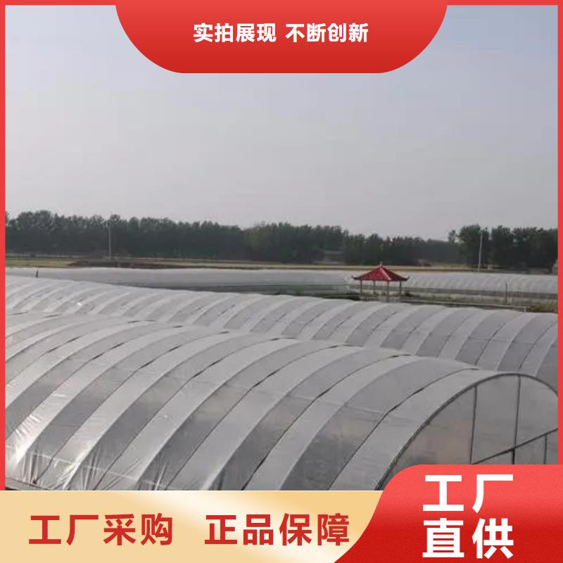 縣水產(chǎn)養(yǎng)殖大棚工廠直銷