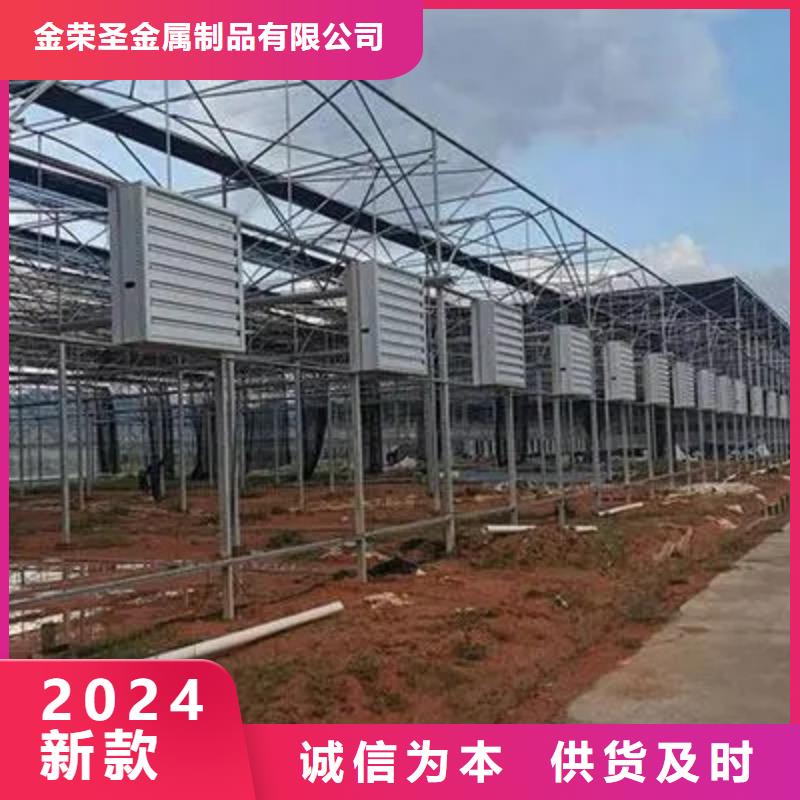 縣蔬菜大棚廠實力老廠