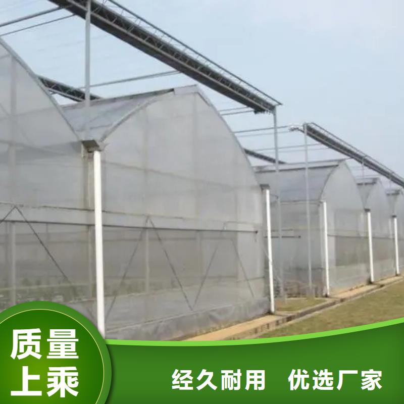草莓大棚的跨度幾米生產(chǎn)基地