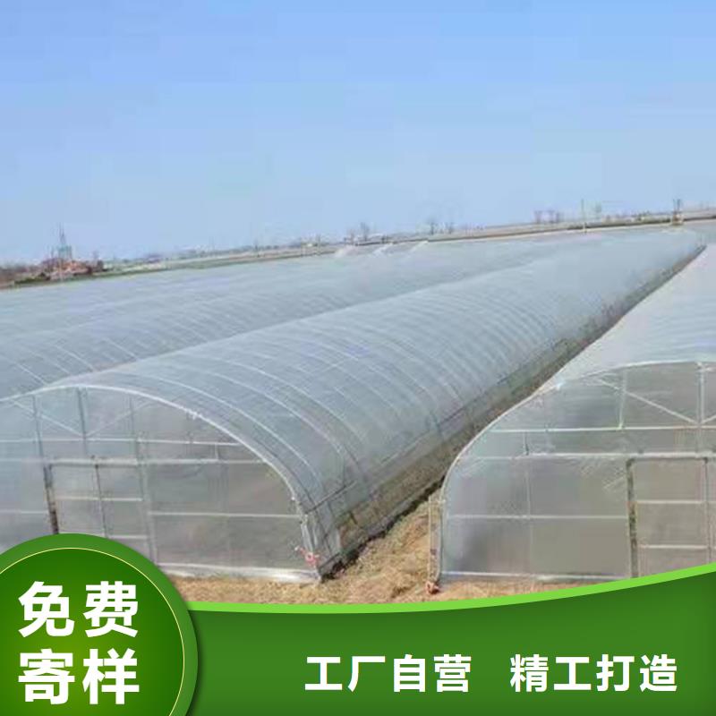 葡萄避雨大棚实力老厂